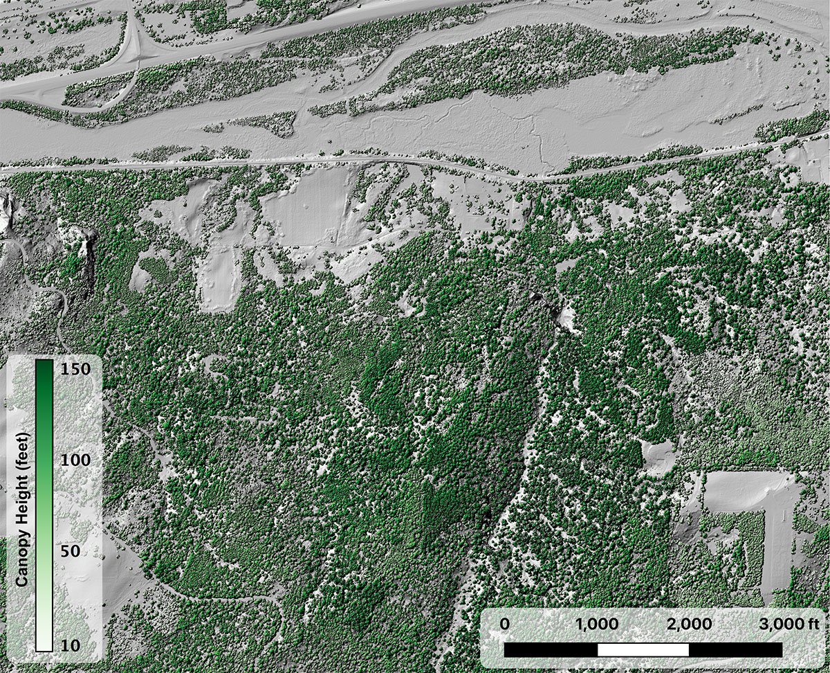 PR20200824_OpenTopography_lidar.jpg