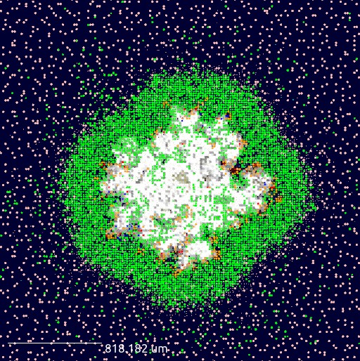 Microscopic simulation of a tuberculosis granuloma showing a white necrotic core surrounded by a green immune cell ring on a dark blue background.
